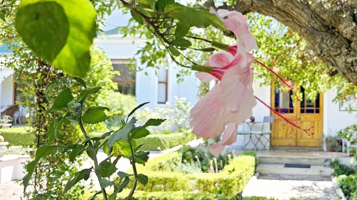 Grey Rabbit Cottage 몬터규 외부 사진